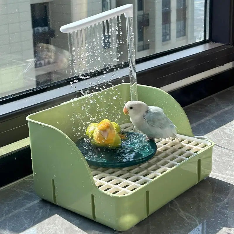 Cute Electric Bird Bath