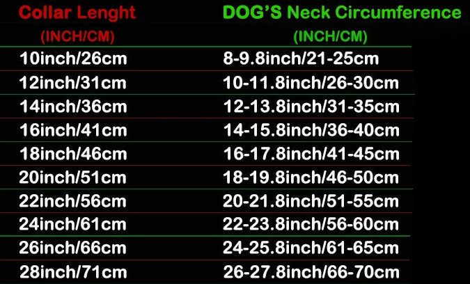 Stylish Stainless Steel Dog Collar