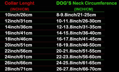 Stylish Stainless Steel Dog Collar