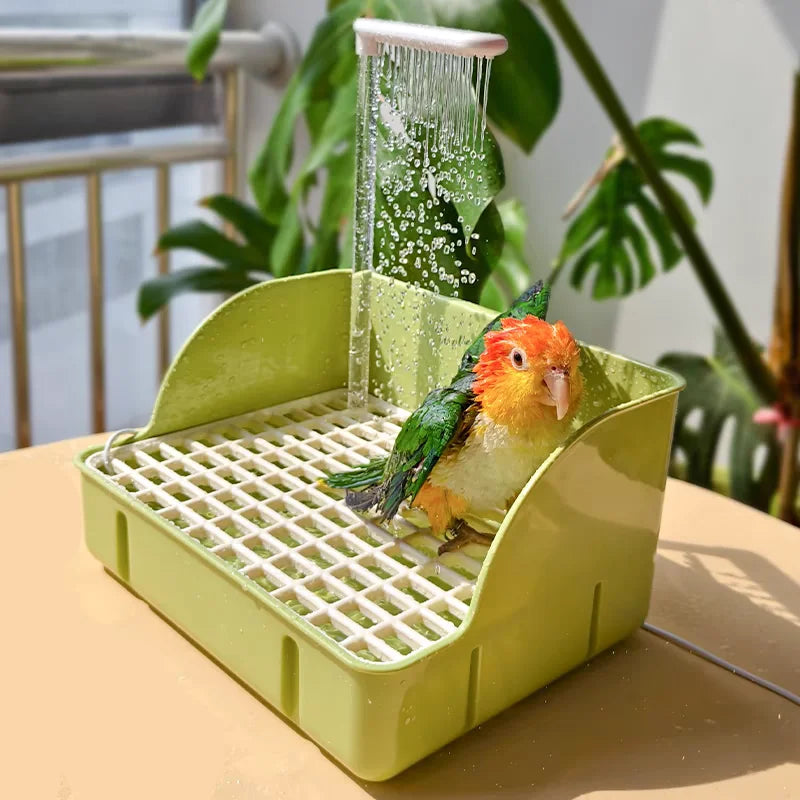 Cute Electric Bird Bath