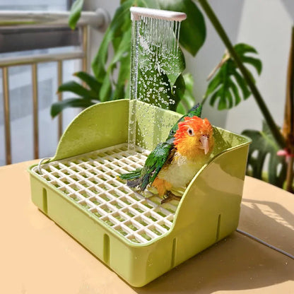 Cute Electric Bird Bath