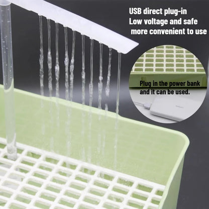 Cute Electric Bird Bath