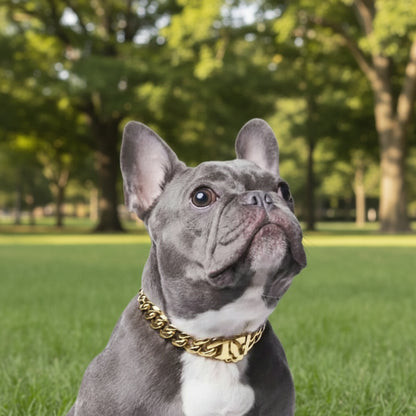 Stylish Stainless Steel Dog Collar